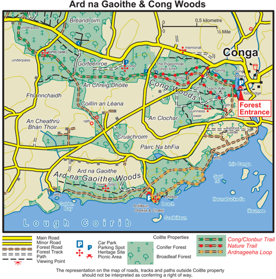 Map Of Cong Woods